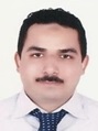 Mohamed Said Attia Moustafa